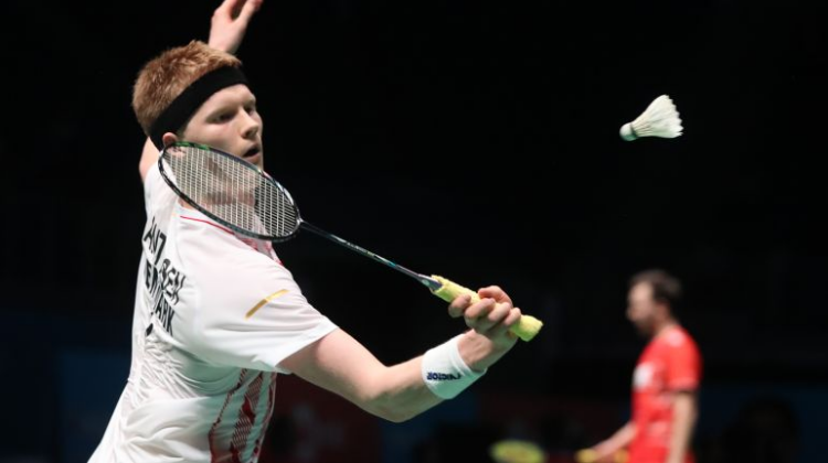 不断丰富的 不断丰富的