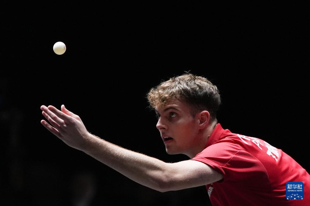 迷的关注 迷的关注